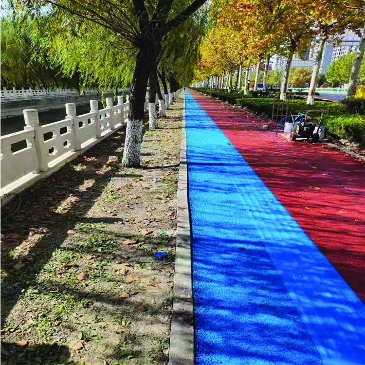 海尼承接景區(qū)道路彩色透水混凝土地坪施工 景觀路面鋪設(shè)